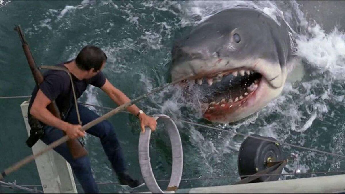 Un documentaire inédit célèbre les 50 ans des Dents de la Mer avec une date de sortie idéale
