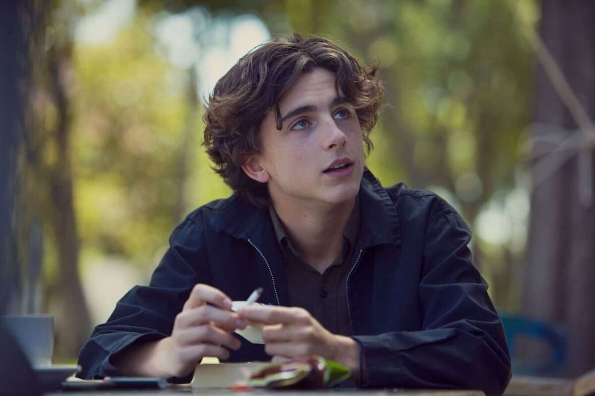 Timothée Chalamet a raté son audition pour cette célèbre série d’horreur