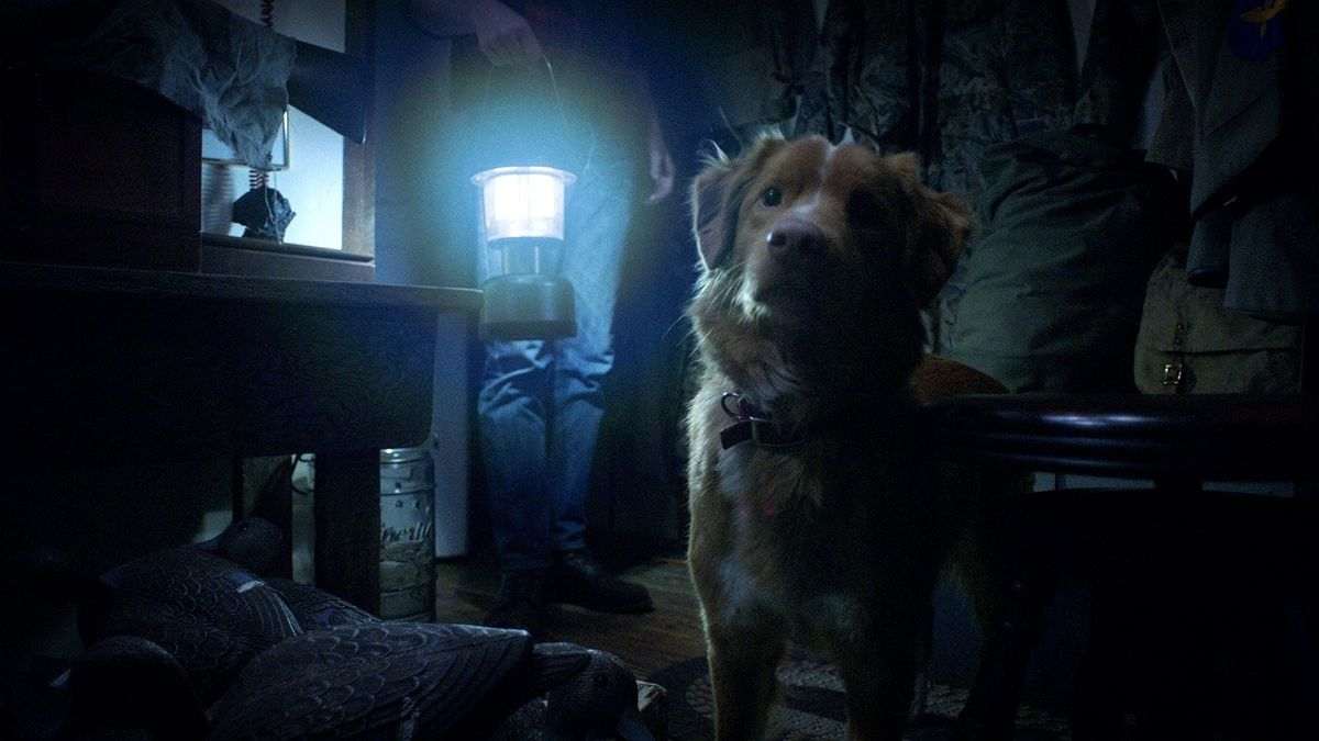 Le destin du chien dans « Good Boy » : la réponse à la question que tout le monde se pose