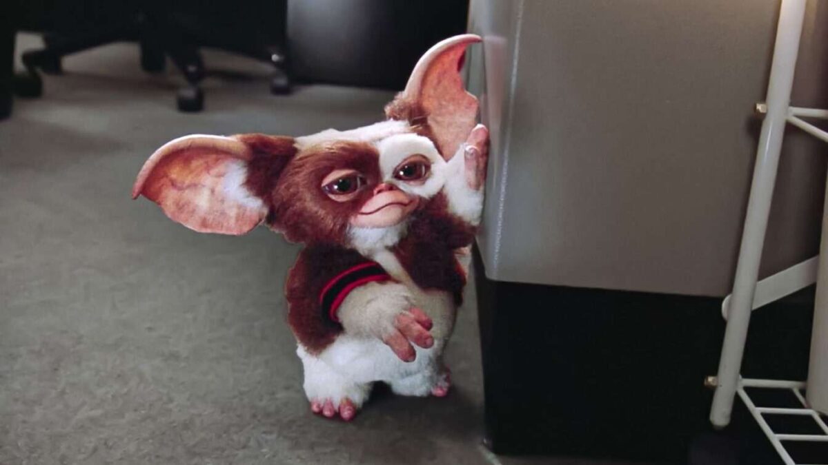 Un clin d’œil dans Gremlins relie le film à un classique de science-fiction des années 60