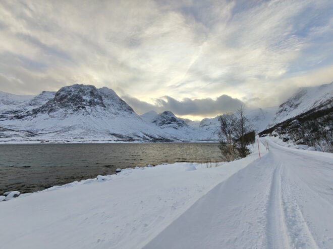 Photo prise avec le Realme 16 Pro+