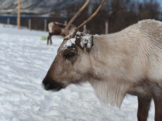 Photo prise avec le Realme 16 Pro+