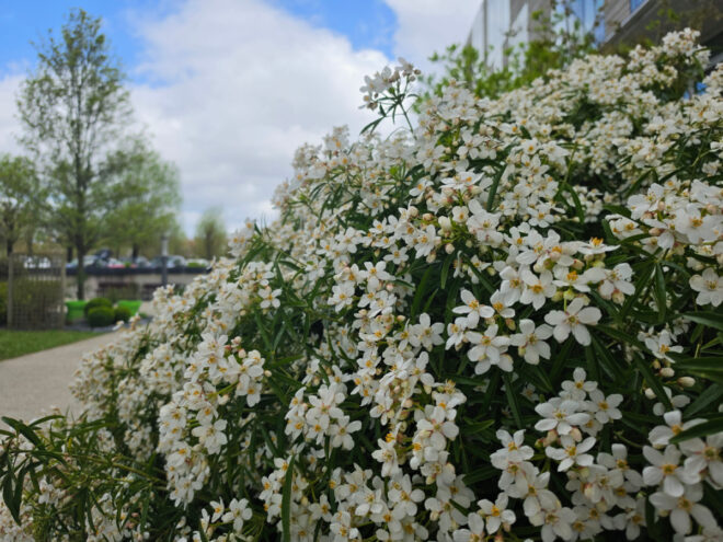 Photo avec le Samsung Galaxy S26 Ultra