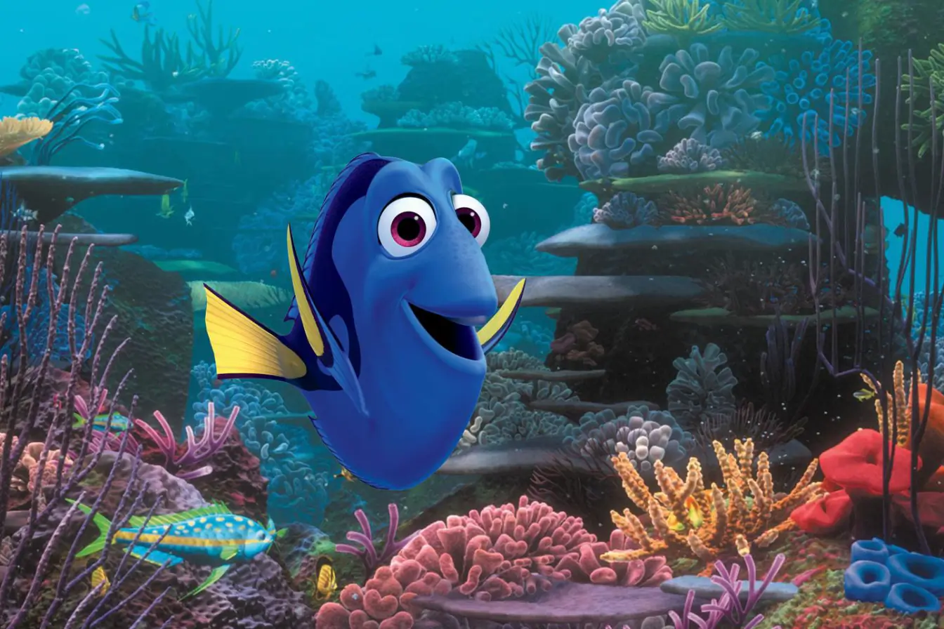 Dory