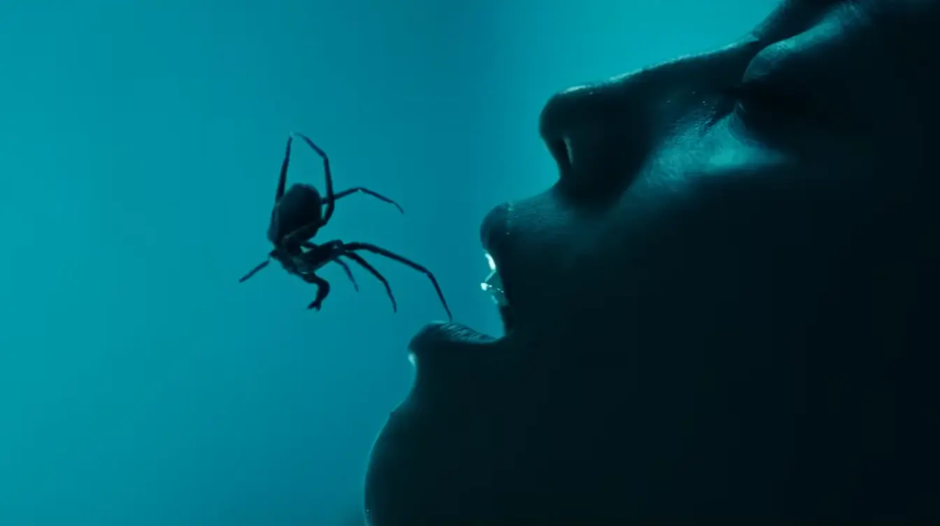 Crawlers