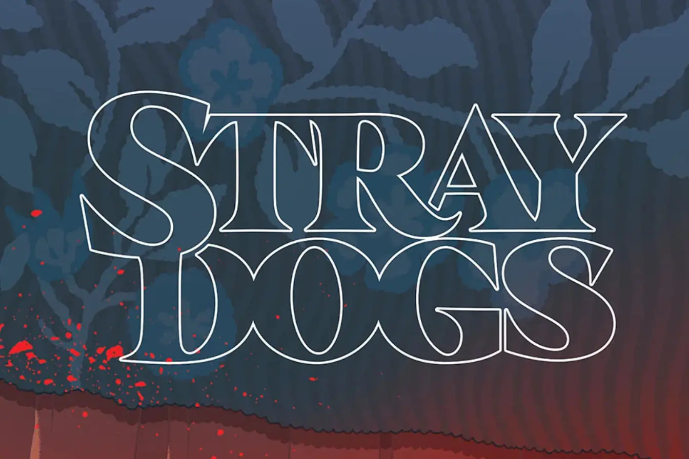 Stray Dogs