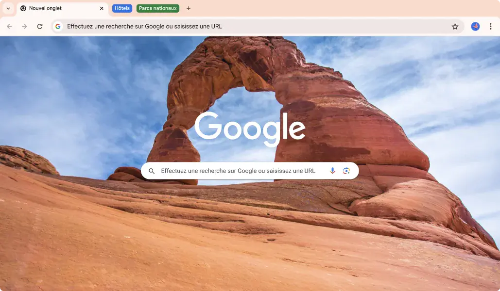 Google Chrome