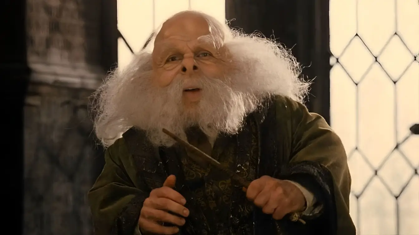 Harry Potter Flitwick